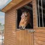 The Cow Shed At Pear Tree Farm